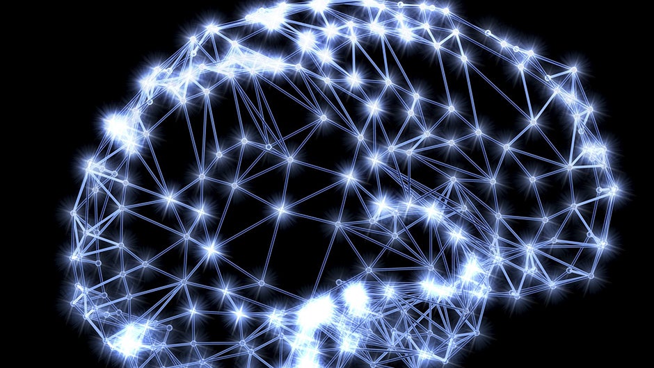 brain