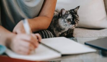 A cat with their owner who is writing in a notebook.